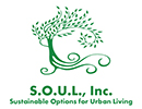 Sustainable Options for Urban Living